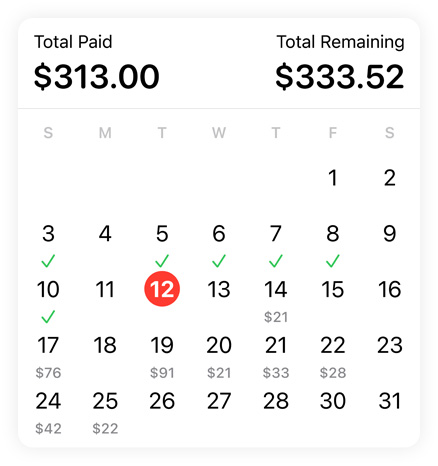 Example of a payment calendar